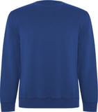 Hovedminiatyrbilde av Kongeblå Roly Batian Collegegenser