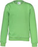 Hovedminiatyrbilde av Green Cottover Collegegenser Barn