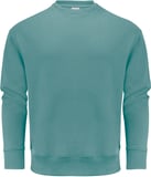 Hovedminiatyrbilde av Aloe Green J. Harvest Hopedale Collegegenser