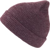 Hovedminiatyrbilde av Burgundy Atlantis Fusion