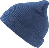 Hovedminiatyrbilde av Royal Atlantis Fusion