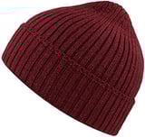 Hovedminiatyrbilde av Burgundy Melange Atlantis Viral