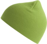 Hovedminiatyrbilde av Leaf Green Atlantis Kid Yala