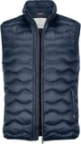 Hovedminiatyrbilde av Midnight Blue Nimbus Vermont  Dunvest