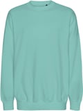 Hovedminiatyrbilde av Dusty Mint Neutral Tiger Cotton Tiger Cotton Oversized Sweatshirt