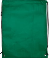 Miniatyrbilde 1 av Grønn Evergreen GRS RPET Non Woven 5L Gympose