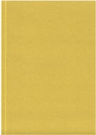 Miniatyrbilde 1 av Gull Novella Austen resirkulert A5 notatbok med mykt omslag – 100 ark