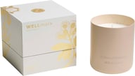 Miniatyrbilde 4 av Ecru gulgrå WELLmark Soyavoks Duftlys