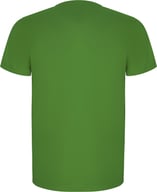 Miniatyrbilde 1 av Bregnegrønn Roly Imola Teknisk T-skjorte