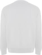 Miniatyrbilde 1 av Hvit Roly Batian Collegegenser