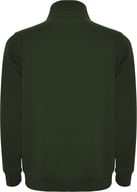 Miniatyrbilde 1 av Flaskegrønn Roly Aneto Half-Zip Genser