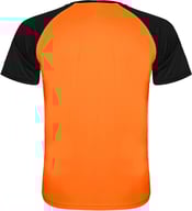 Miniatyrbilde 1 av Fluor oransje/Solid svart Roly Indianapolis Teknisk  T-skjorte