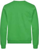 Miniatyrbilde 1 av Apple Green Clique Miami Collegegenser