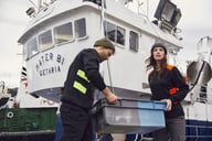 Miniatyrbilde 5 av Pistol Clique Ambition Collegegenser