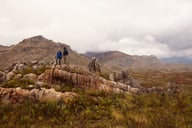 Miniatyrbilde 4 av Anthracite/Black Printer Prime Softshelljakke