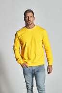 Miniatyrbilde 10 av Black Cottover Collegegenser