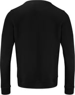 Miniatyrbilde 1 av Black J. Harvest Alder Collegegenser