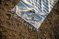 Miniatyrbilde 8 av Grey Lord Nelson LNV Hamam Morhult