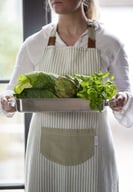 Miniatyrbilde 5 av Green Lord Nelson Apron Stripe