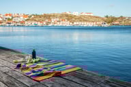 Miniatyrbilde 4 av Multi Lord Nelson Victory Multi 500 g/m2 Bomull 80x160 cm Badelaken Håndkle