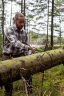 Miniatyrbilde 2 av Black Örrefors Hunting Kjedesag