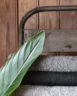 Miniatyrbilde 3 av Apple Green Queen Anne Frottè Håndkle