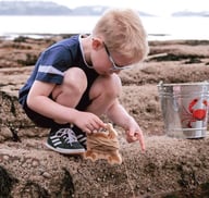 Miniatyrbilde 1 av 25-47-dra-3967 Aurora Bøketre Krabbelinje med Agnpose