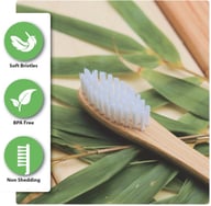 Miniatyrbilde 1 av 25-47-drb-2111 Tallahassee Bambus Tannbørste