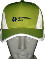 Miniatyrbilde 4 av 25-47-drc-8119 Nicholson Polyester Refleks Caps