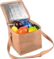 Miniatyrbilde 1 av 25-47-drd-5569 Middelfart Kork 6L Kjølebag