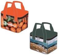 Miniatyrbilde 1 av 25-47-drd-5914 Canberra rPET 5L Kjølebag