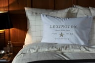 Miniatyrbilde 3 av White/Beige Lexington Hotel Brodert Putetrekk