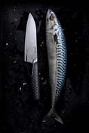 Miniatyrbilde 1 av Sort Fiskars Taiten Kokkekniv medium 16 cm