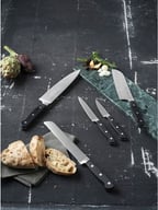 Miniatyrbilde 5 av Stål/Svart Lion Sabatier Pluton 5 deler Knivsett