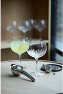 Miniatyrbilde 1 av Klar/Stål Luigi Bormioli Limoncello Gavesett