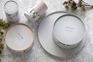 Miniatyrbilde 3 av Arctic Ice Pillivuyt Bastian Vinter Kakeboks