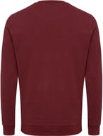 Miniatyrbilde 1 av Burgunderrød iqoniq Zion Resirkulert Bomull Collegegenser