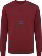 Miniatyrbilde 7 av Burgunderrød iqoniq Zion Resirkulert Bomull Collegegenser