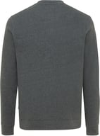 Miniatyrbilde 1 av Heather anthracite iqoniq Denali Resirkulert Bomull Ufarget Collegegenser