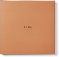 Miniatyrbilde 1 av Brun Vinga Ludo Spill