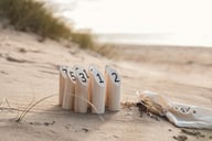 Miniatyrbilde 4 av Brun Vinga Muge Nummerspill