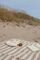 Miniatyrbilde 4 av Brun Vinga Catch Me If You Can Spill