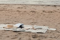 Miniatyrbilde 3 av Brun Vinga Alba Medium GRS RPET Piknikteppe