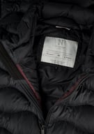 Miniatyrbilde 5 av Black Nimbus Vermont  Dunvest