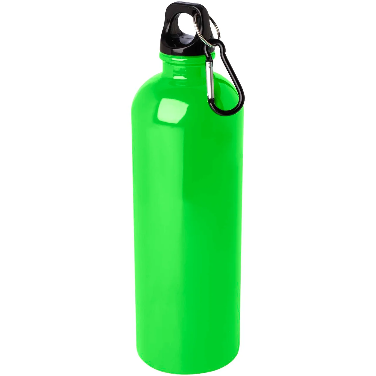 Hovedproduktbilde for Eplegrønn Oregon 750 ml Resirkulert Stål Drikkeflaske med Karabinkrok