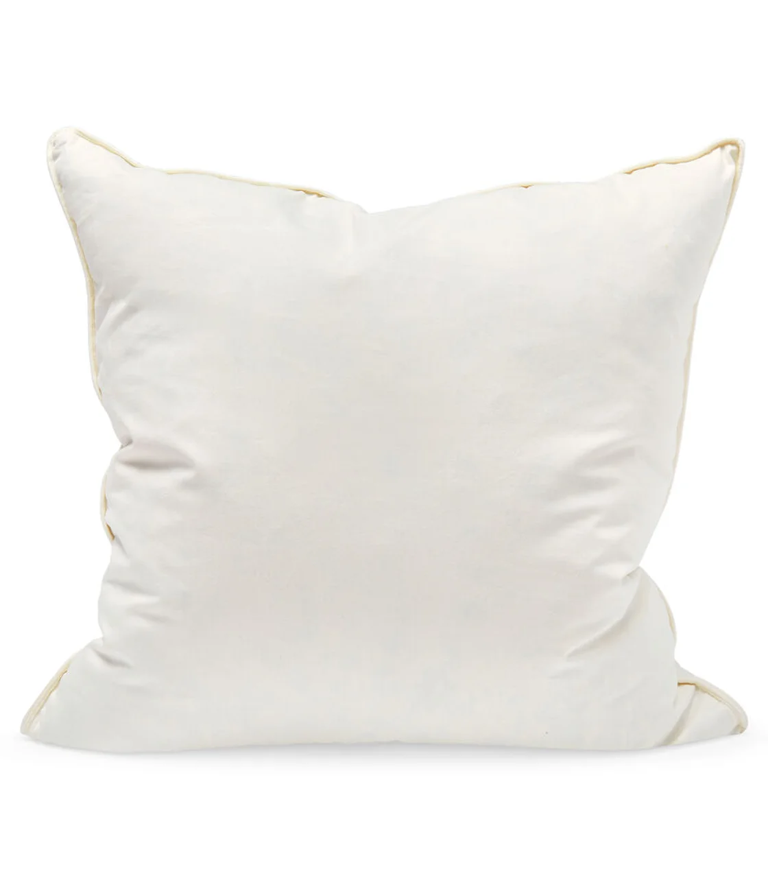 Hovedproduktbilde for Natur Queen Anne Fjær 50x50 Innerpute