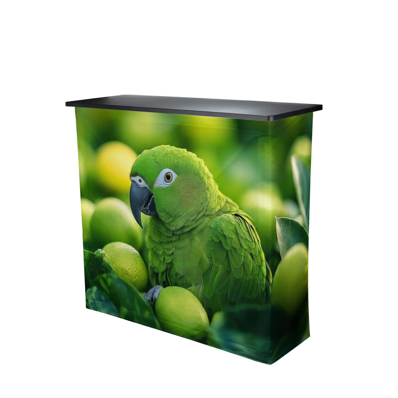 Hovedproduktbilde for 51-226-6131-10-tilbehor Kun trykt front – Messebord Pop-up (rPET)