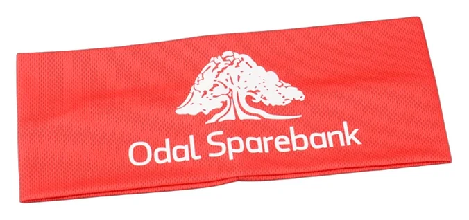 Produktbilde for Beauvais Mesh Sport  Pannebånd