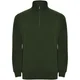 Hovedminiatyrbilde av Flaskegrønn Roly Aneto Half-Zip Genser