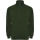 Hovedminiatyrbilde av Flaskegrønn Roly Aneto Half-Zip Genser